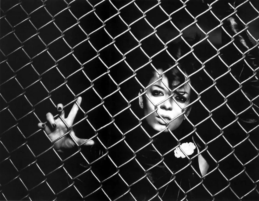 Garbage - shirl111[1].jpg